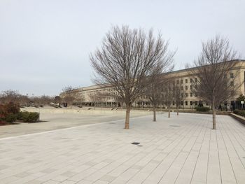 Bare trees against buildings