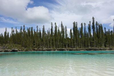 Sea and trees against cloudy sky