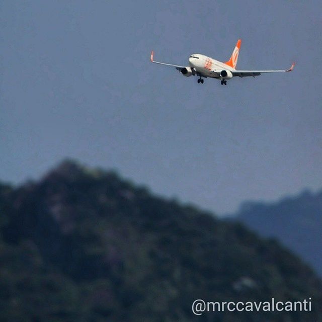 flying, transportation, mid-air, mode of transport, bird, animal themes, on the move, airplane, one animal, air vehicle, day, travel, wildlife, nature, outdoors, animals in the wild, no people, nautical vessel, blue, spread wings