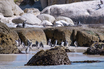 Side view of people in sea