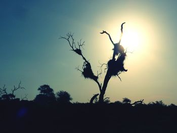 Low angle view of silhouette tree against sky during sunset