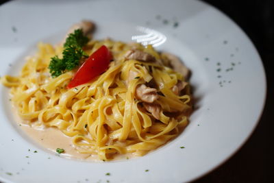 High angle view of noodles served in plate