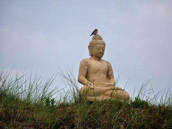 Low angle view of giant buddha statue on field against sky