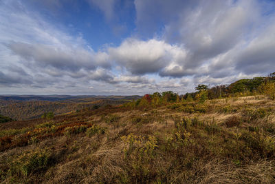 Scenic view of field against sky