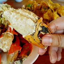 Close-up of hand holding meat