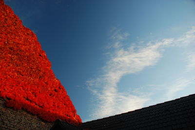 Low angle view of built structure against blue sky