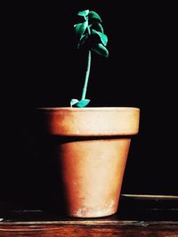 Close-up of drink on table against black background