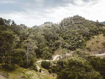 Scenic view of mountain forest with dirt road against overcast sky