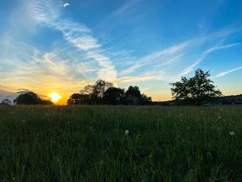 Scenic view of field against sky during sunset