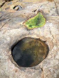 High angle view of water on rock