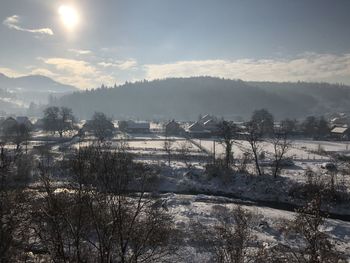 Scenic view of trees against sky during winter