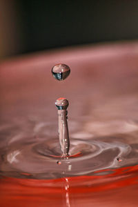 Close-up of a water drop.