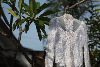 Close-up of wedding dress  hanging on tree