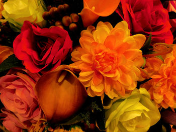 Close-up of flowers