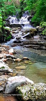 Stream flowing through rocks in forest