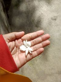 Jasmine in my hand