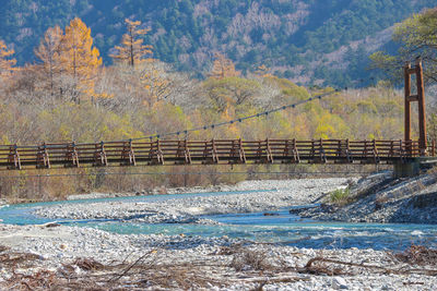 Bridge over river against trees during autumn