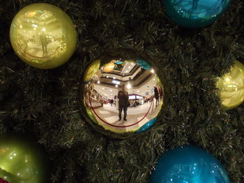 Close-up of illuminated christmas tree at night