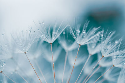 Close-up of water splashing against blurred background