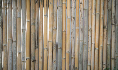 Full frame shot of bamboos