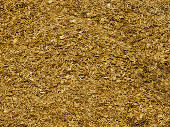 Full frame shot of textured surface