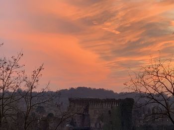 Bare trees and buildings against sky during sunset