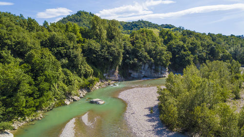 Scenic view of river amidst trees against sky