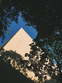 Low angle view of tree against sky at night