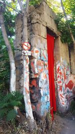 Low angle view of graffiti on tree by building