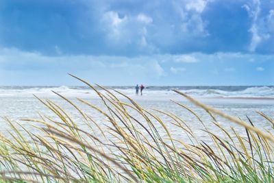 Two people on beach