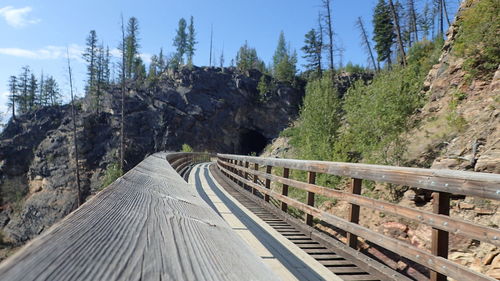 Footbridge amidst trees against sky