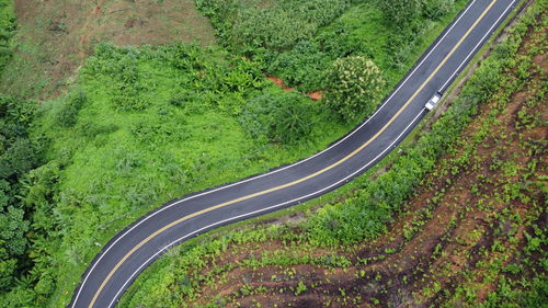 High angle view of road amidst trees on field