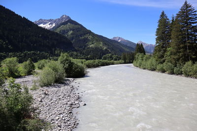 Scenic view of river amidst trees against sky