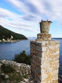 Driftwood on rock by sea against sky