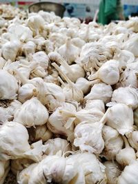 Close-up of white garlic for sale in market