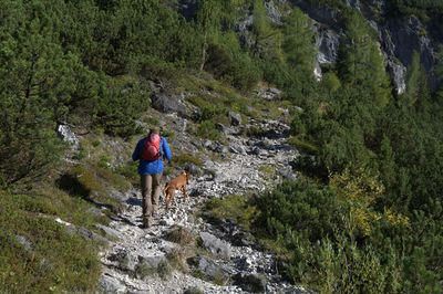 Rear view of man walking with dog on mountain