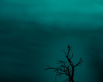 Low angle view of trees against sky