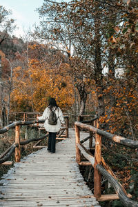 Rear view of woman walking on wooden path in forest in autumn.