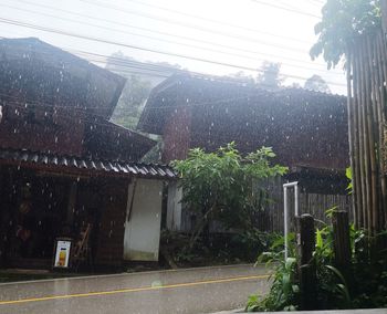 Trees and buildings seen through wet window during rainy season