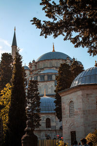 Mosque landscape