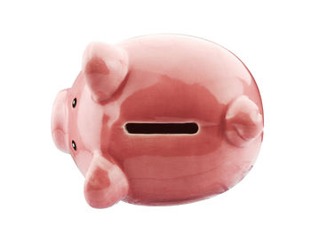 Close-up of pink face against white background