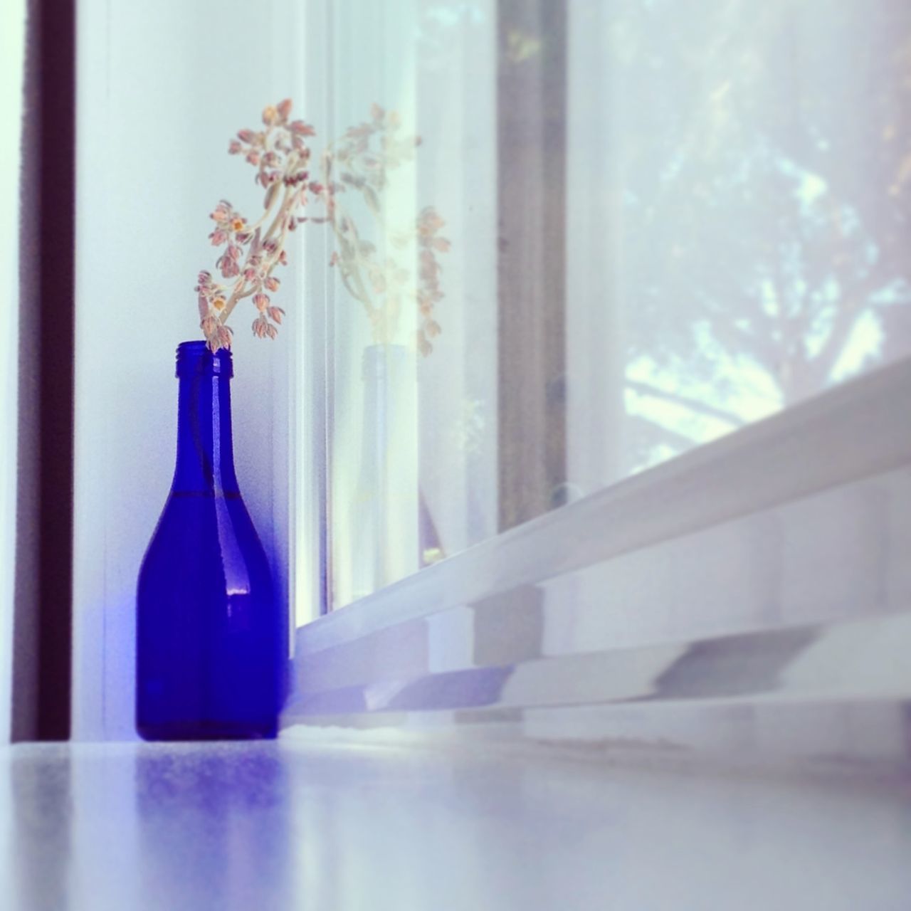 indoors, still life, table, glass - material, close-up, transparent, home interior, window, curtain, vase, glass, bottle, no people, empty, simplicity, hanging, absence, wall - building feature, reflection, focus on foreground