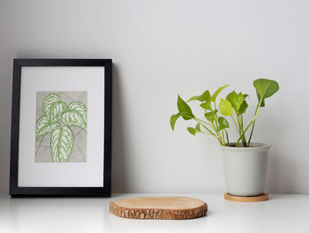 Potted plant on table