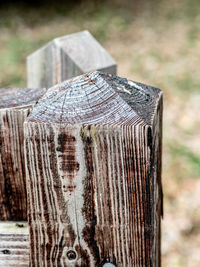 Close-up of wooden tree stump on field