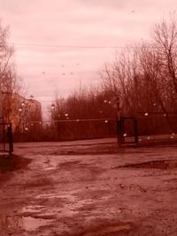 Bare trees against sky during winter