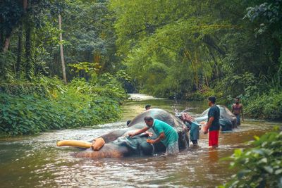 People in river amidst trees in forest