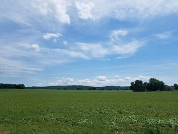 Scenic view of field against sky