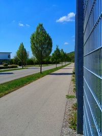 Empty road by trees against blue sky