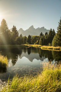 Scenic view of lake against clear sky