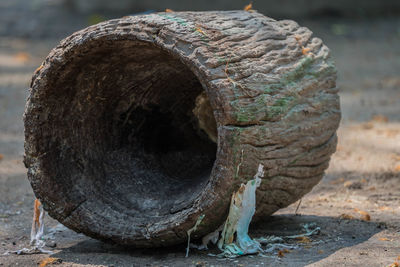 Close-up of old wood